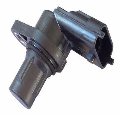 CMS30197.jpg