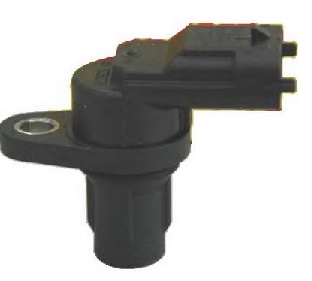 CMS36197.jpg