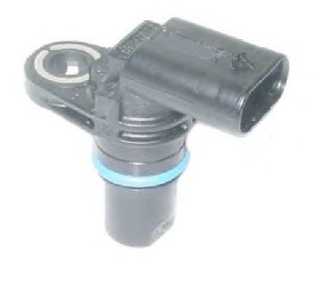 CMS514.jpg