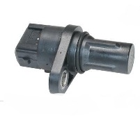 CMS65497.jpg