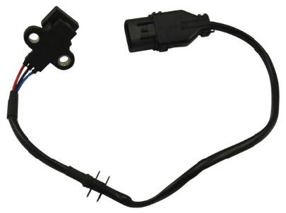 CMS6641.jpg