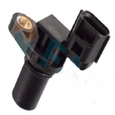 CMS715.jpg