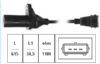 CS053.jpg