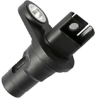 CS221D7.jpg