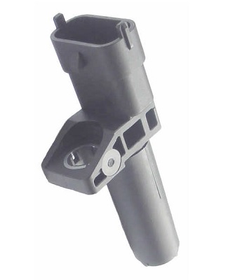 CS384R.jpg