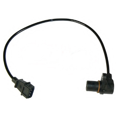 CS77597.jpg
