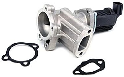 EGR006A.jpg
