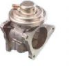 EGR051.jpg