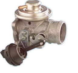 EGR052.jpg