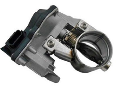 EGR109A.jpg