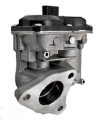 EGR109D.jpg