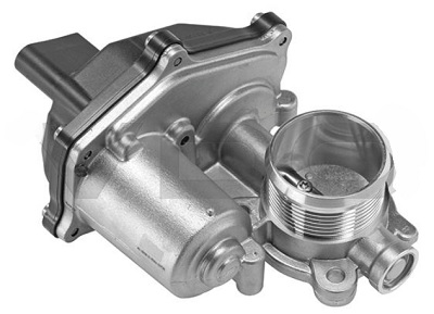 EGR204B.jpg