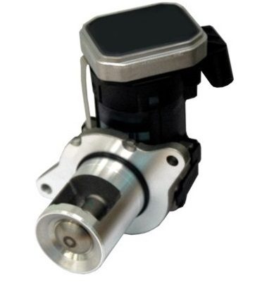 EGR283.jpg