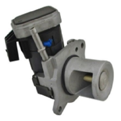 EGR287.jpg