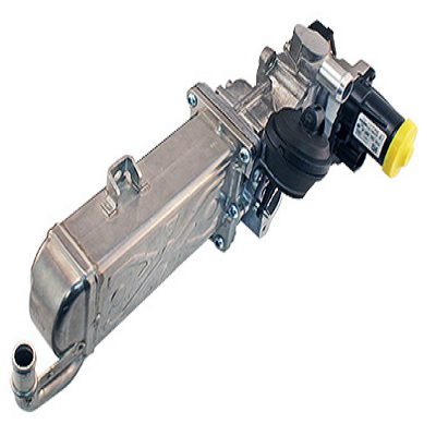 EGR331D.jpg