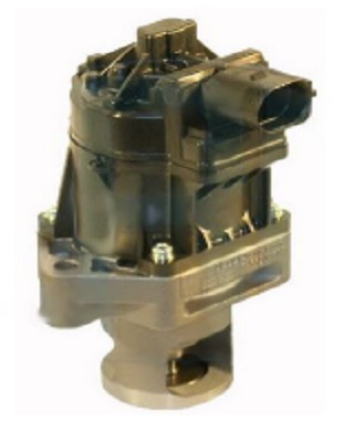 EGR375.jpg
