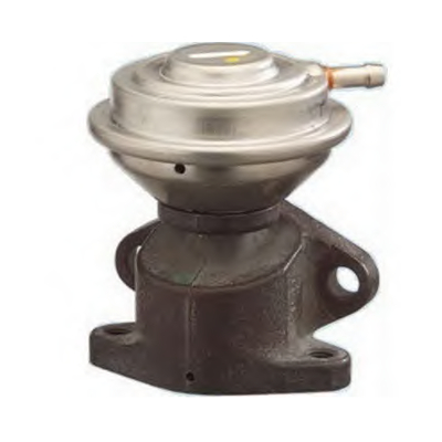 EGR4310.jpg