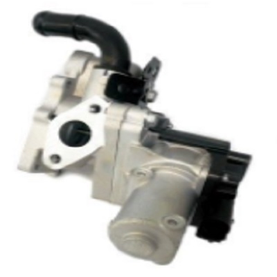 EGR6681A.jpg
