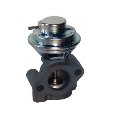 EGR731.jpg