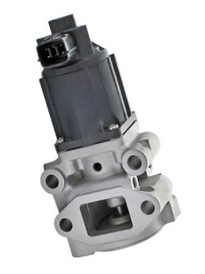 EGR738B.jpg