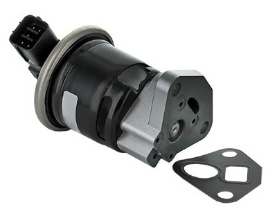 EGR741.jpg