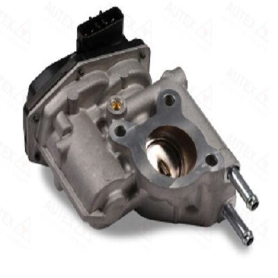 EGR764D.jpg