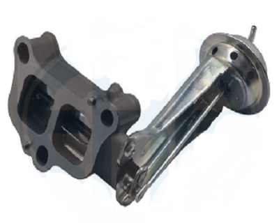 EGR764D1.jpg