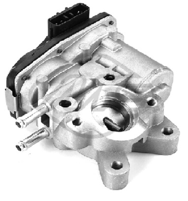 EGR775D.jpg
