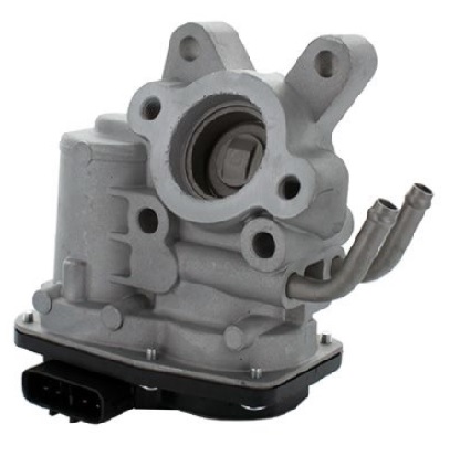 EGR779.jpg
