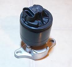 EGR804.jpg