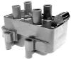 IC011.jpg