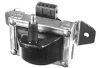 IC012.jpg