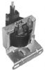 IC304B.jpg