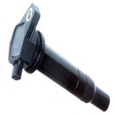 IC655A.jpg