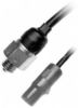 RU6206.jpg