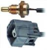 WT3295.jpg