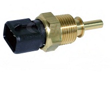 WT653.jpg