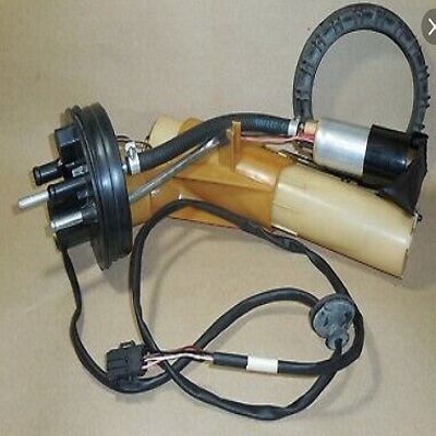 FP082C5.jpg