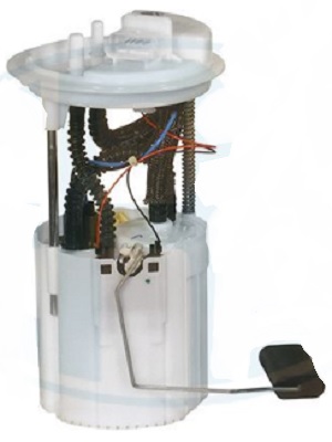 FP304B5.jpg