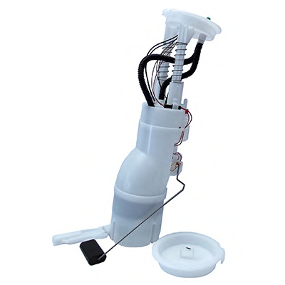 FP506D5.jpg