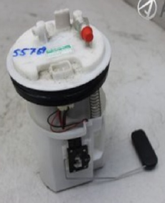 FP704D5.jpg