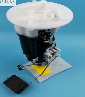 FP741D5.jpg