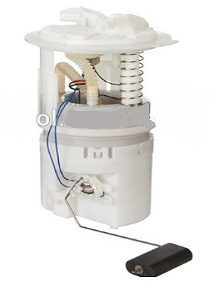 FP804B5.jpg