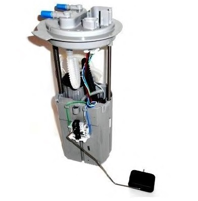 FP826C5.jpg