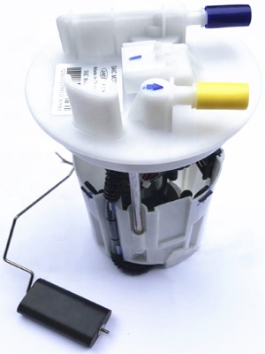 FP906C5.jpg