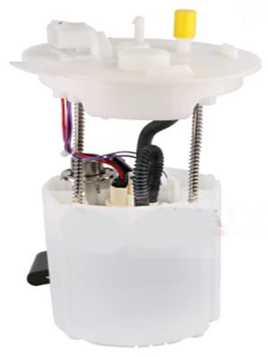 FP824C5.jpg